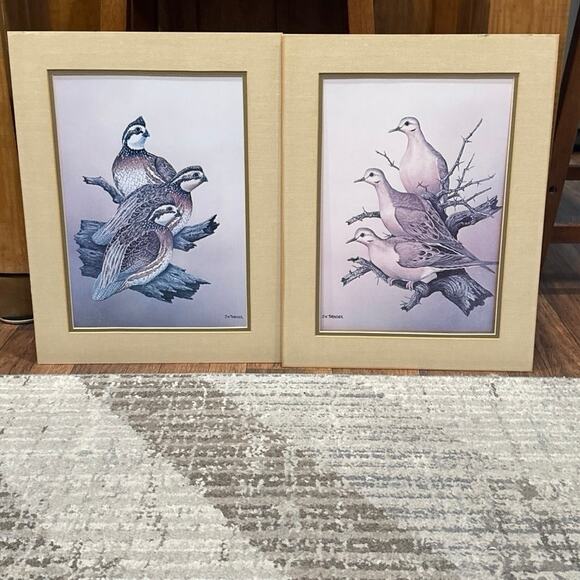 Vintage Set of J.W. Thrasher Mourning Dove &  Bob White Quail Matted Art Prints - Picture 1 of 9